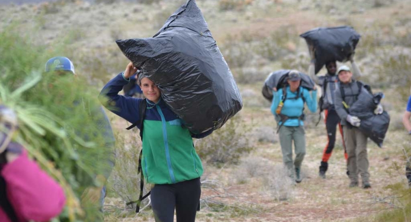 service learning in joshua tree